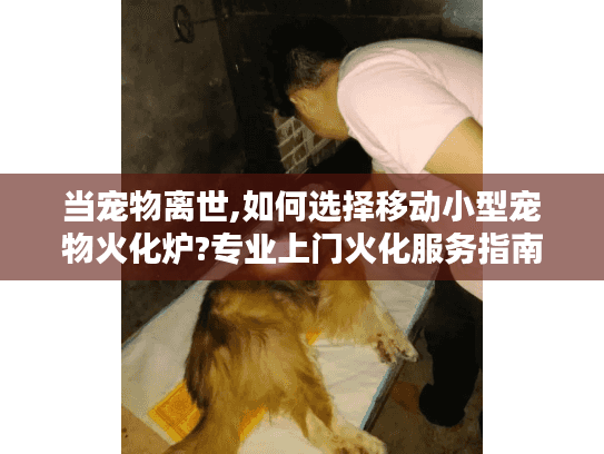 当宠物离世,如何选择移动小型宠物火化炉?专业上门火化服务指南