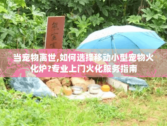 当宠物离世,如何选择移动小型宠物火化炉?专业上门火化服务指南