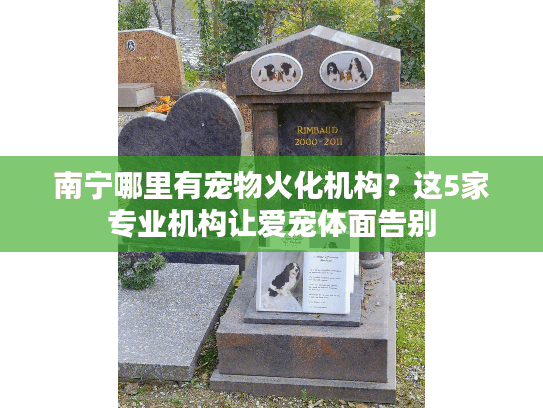 南宁哪里有宠物火化机构？这5家专业机构让爱宠体面告别