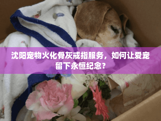 沈阳宠物火化骨灰戒指服务，如何让爱宠留下永恒纪念？