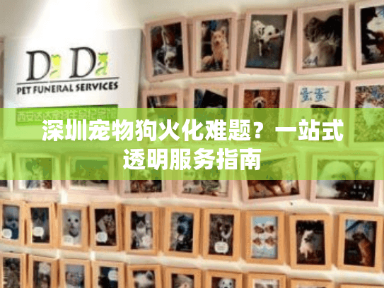 深圳宠物狗火化难题？一站式透明服务指南