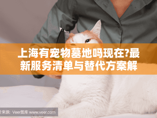 上海有宠物墓地吗现在?最新服务清单与替代方案解析