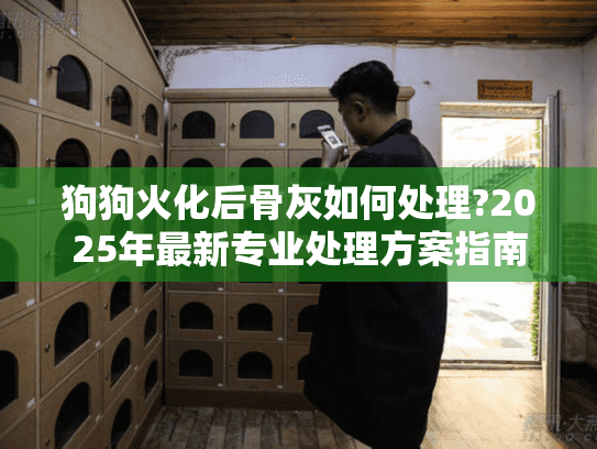 狗狗火化后骨灰如何处理?2025年最新专业处理方案指南