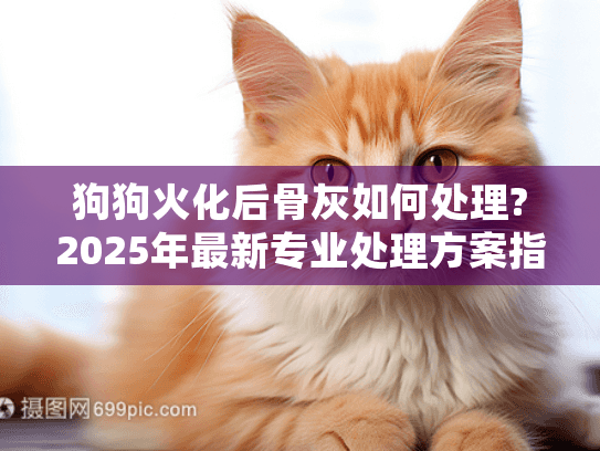 狗狗火化后骨灰如何处理?2025年最新专业处理方案指南