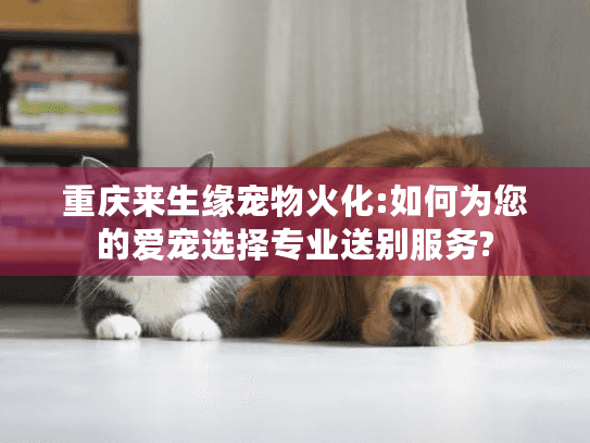 重庆来生缘宠物火化:如何为您的爱宠选择专业送别服务?