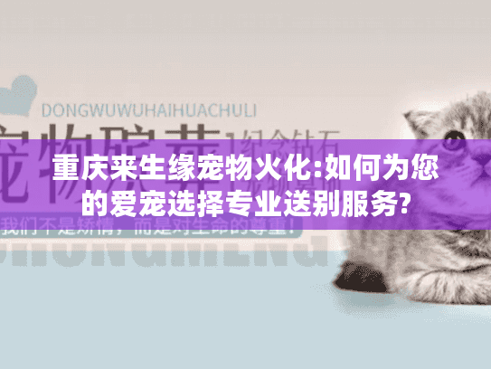 重庆来生缘宠物火化:如何为您的爱宠选择专业送别服务?