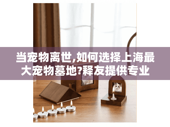 当宠物离世,如何选择上海最大宠物墓地?释友提供专业殡葬服务
