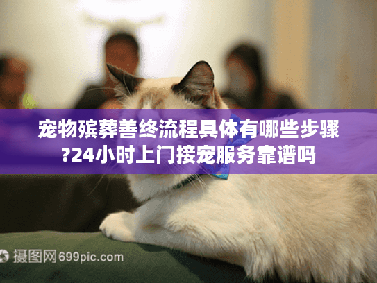 宠物殡葬善终流程具体有哪些步骤?24小时上门接宠服务靠谱吗