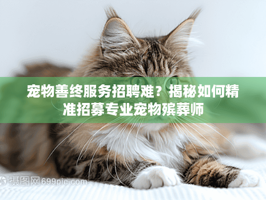 宠物善终服务招聘难？揭秘如何精准招募专业宠物殡葬师