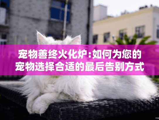 宠物善终火化炉:如何为您的宠物选择合适的最后告别方式? 宠物善终火化炉:如何为您的宠物选择合适的最后告别方式?