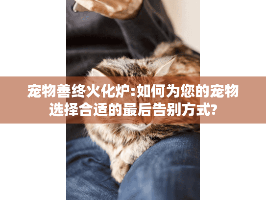 宠物善终火化炉:如何为您的宠物选择合适的最后告别方式?