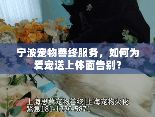 宁波宠物善终服务，如何为爱宠送上体面告别？