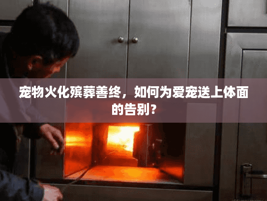 宠物火化殡葬善终，如何为爱宠送上体面的告别？
