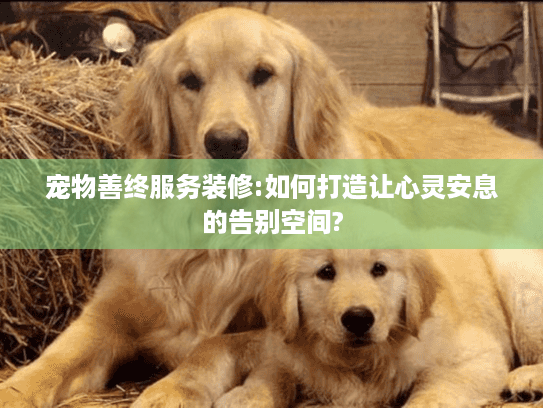 宠物善终服务装修:如何打造让心灵安息的告别空间?