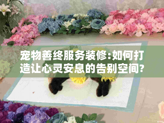 宠物善终服务装修:如何打造让心灵安息的告别空间?