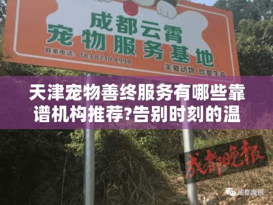 天津宠物善终服务有哪些靠谱机构推荐?告别时刻的温暖守护指南