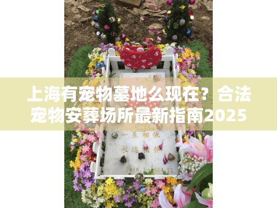 上海有宠物墓地么现在？合法宠物安葬场所最新指南2025