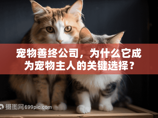 宠物善终公司，为什么它成为宠物主人的关键选择？
