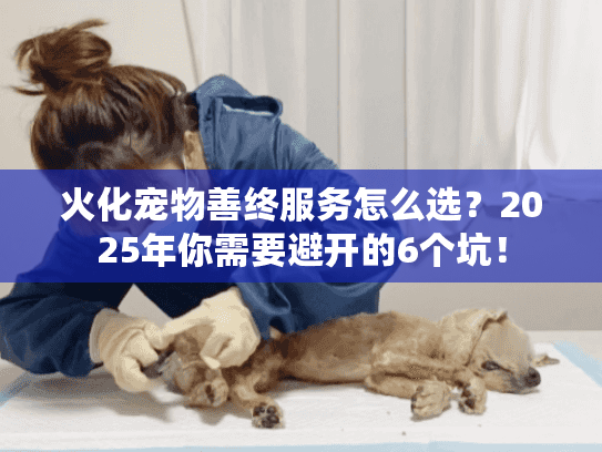 火化宠物善终服务怎么选？2025年你需要避开的6个坑！