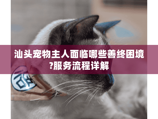 汕头宠物主人面临哪些善终困境?服务流程详解