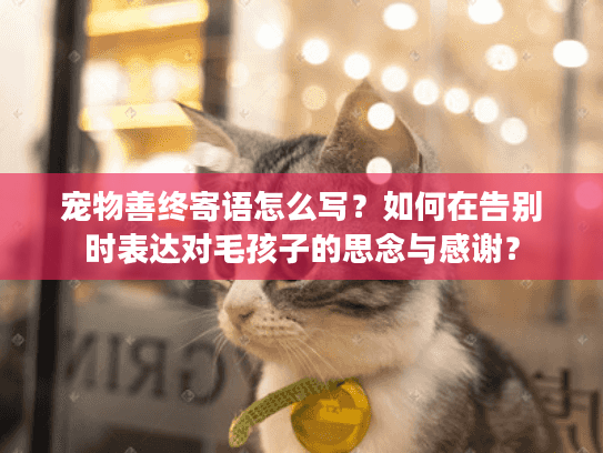 宠物善终寄语怎么写？如何在告别时表达对毛孩子的思念与感谢？
