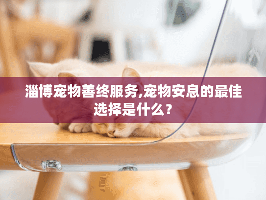 淄博宠物善终服务,宠物安息的最佳选择是什么？