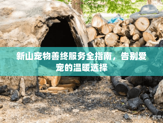 新山宠物善终服务全指南，告别爱宠的温暖选择