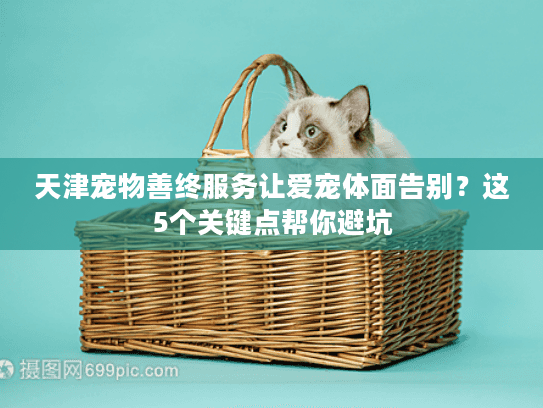 天津宠物善终服务让爱宠体面告别？这5个关键点帮你避坑