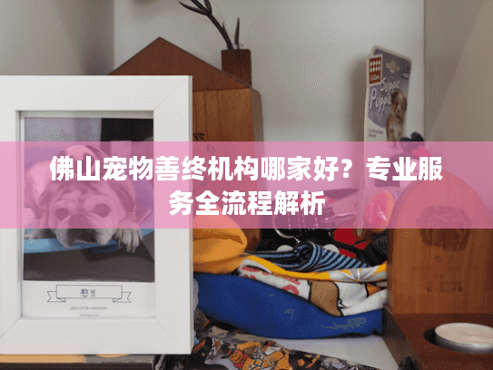 佛山宠物善终机构哪家好？专业服务全流程解析