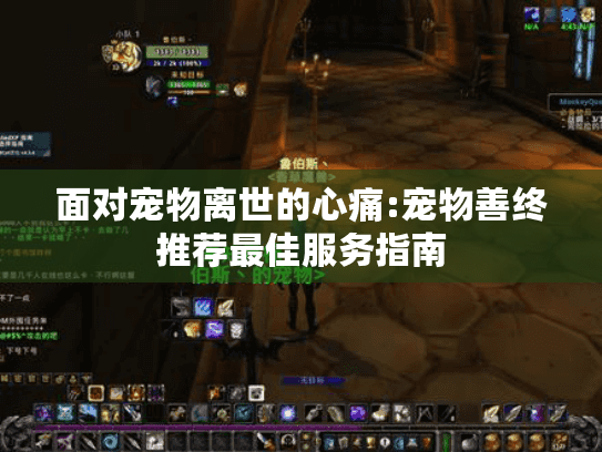 面对宠物离世的心痛:宠物善终推荐最佳服务指南