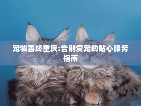 宠物善终重庆:告别爱宠的贴心服务指南