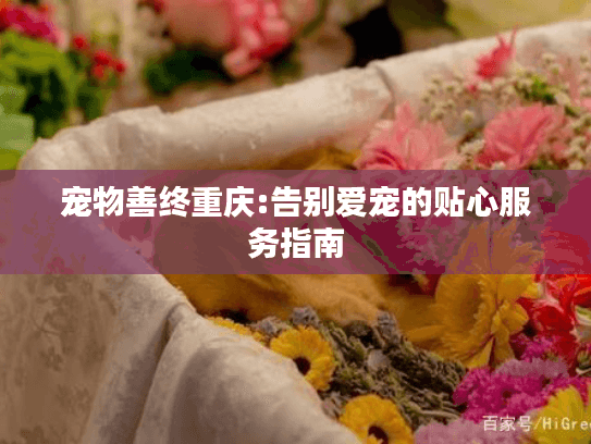 宠物善终重庆:告别爱宠的贴心服务指南