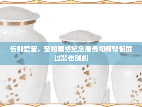 告别爱宠，宠物善终纪念服务如何帮你度过悲伤时刻