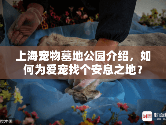 上海宠物墓地公园介绍，如何为爱宠找个安息之地？