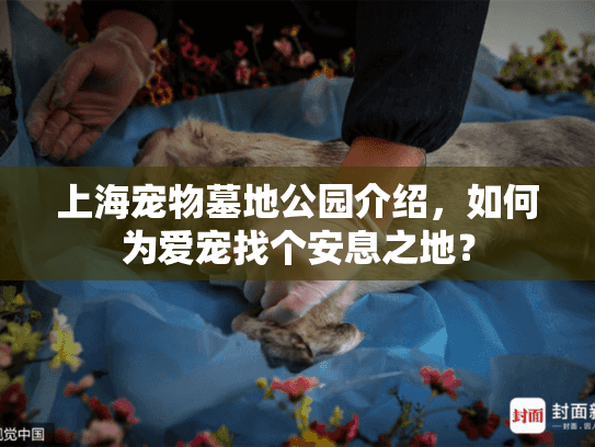 上海宠物墓地公园介绍，如何为爱宠找个安息之地？