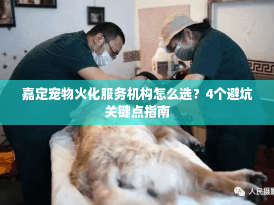 嘉定宠物火化服务机构怎么选？4个避坑关键点指南