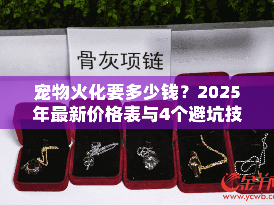 宠物火化要多少钱？2025年最新价格表与4个避坑技巧