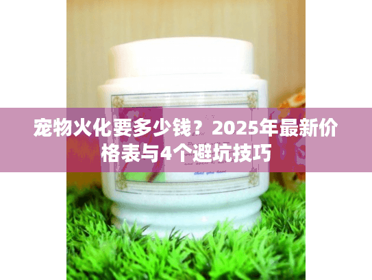 宠物火化要多少钱？2025年最新价格表与4个避坑技巧