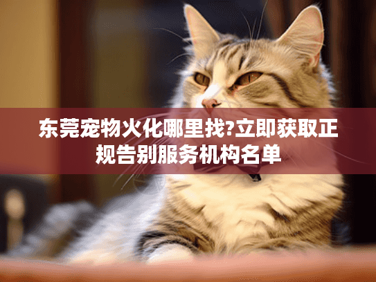 东莞宠物火化哪里找?立即获取正规告别服务机构名单
