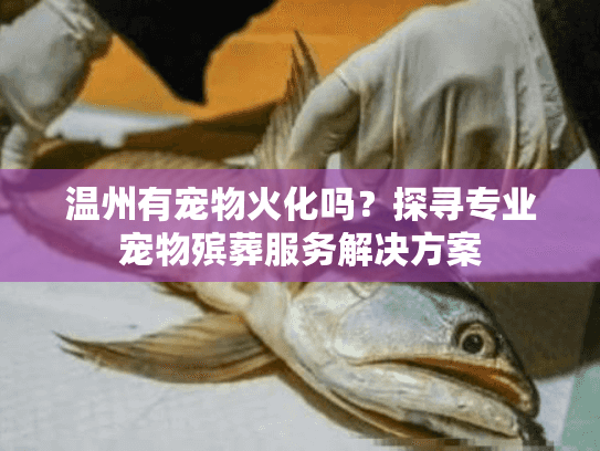 温州有宠物火化吗？探寻专业宠物殡葬服务解决方案