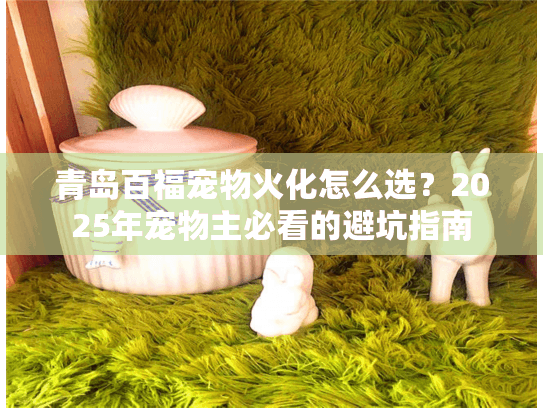 青岛百福宠物火化怎么选？2025年宠物主必看的避坑指南