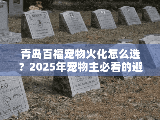 青岛百福宠物火化怎么选？2025年宠物主必看的避坑指南