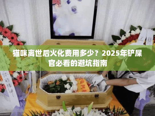 猫咪离世后火化费用多少？2025年铲屎官必看的避坑指南