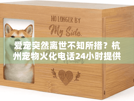 爱宠突然离世不知所措？杭州宠物火化电话24小时提供专业告别服务