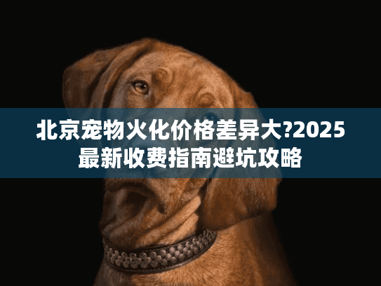 北京宠物火化价格差异大?2025最新收费指南避坑攻略