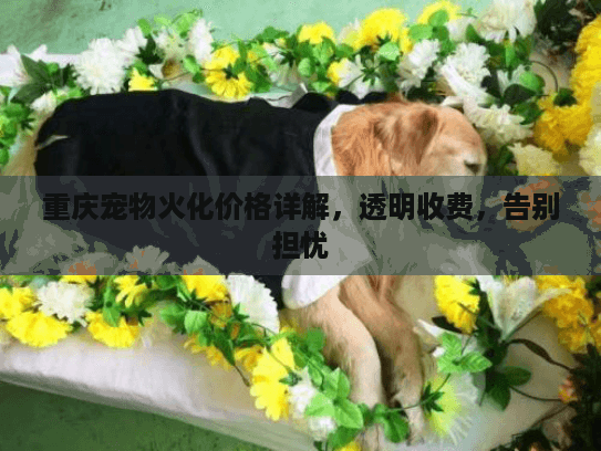 重庆宠物火化价格详解，透明收费，告别担忧