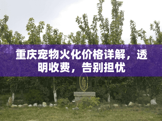 重庆宠物火化价格详解，透明收费，告别担忧