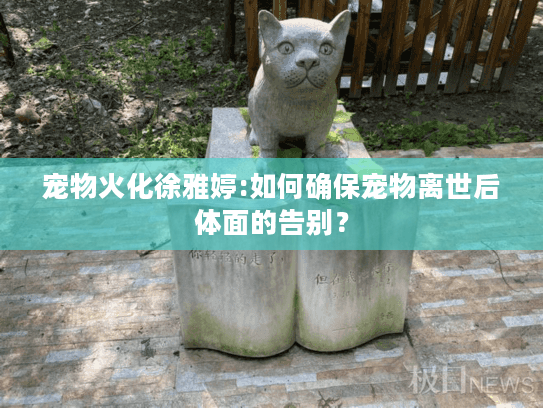 宠物火化徐雅婷:如何确保宠物离世后体面的告别？
