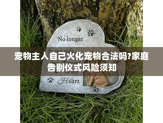 宠物主人自己火化宠物合法吗?家庭告别仪式风险须知