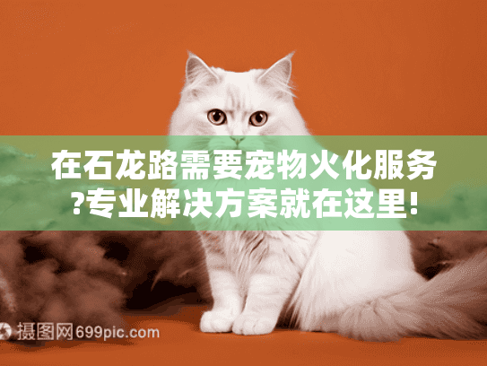 在石龙路需要宠物火化服务?专业解决方案就在这里!